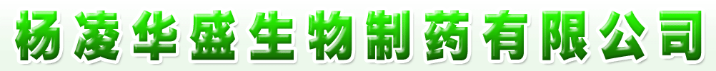 Aʢˎ޹˾