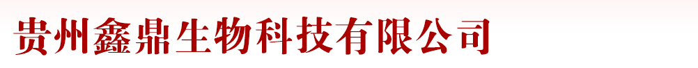 FζƼ޹˾a(chn)Ʒչ_