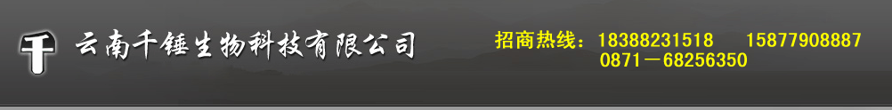 ǧNƼ޹˾