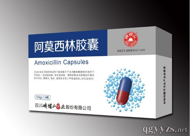 阿莫西林膠囊