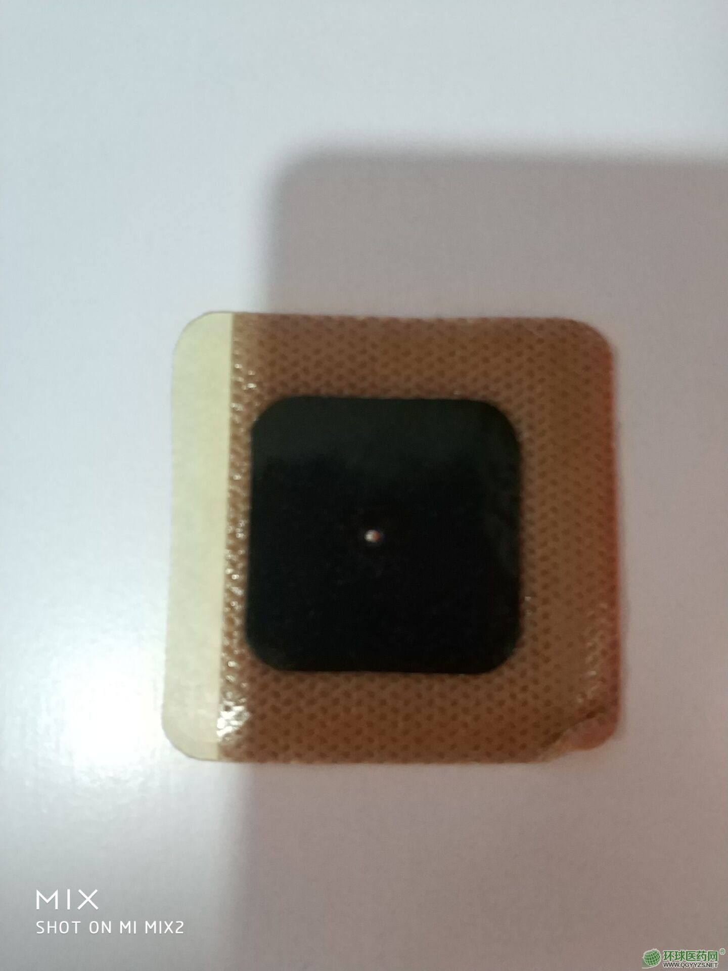 ѨλNίNʧߣ