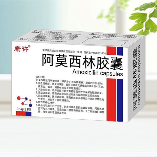 阿莫西林膠囊（康許*天行?。?/></a></i><h4><a href=