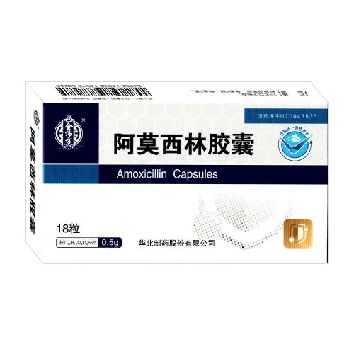 （華北）阿莫西林膠囊